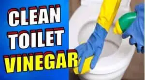 How to Clean The Toilet With Vinegar